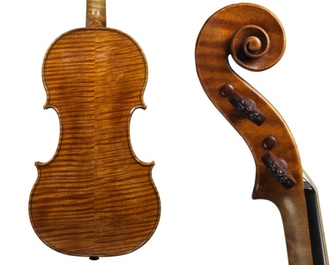Alard Amati back and head