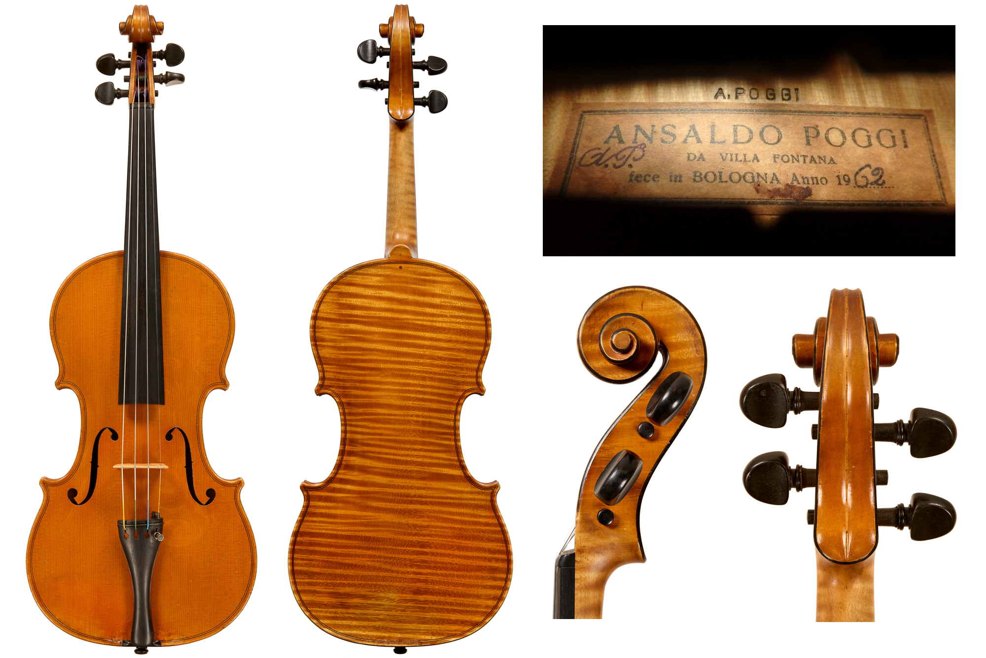 Poggi violin Clearance